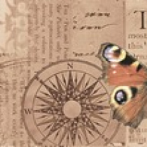 Voyage Бордюр B200D179 20х4,5