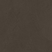 Sandstone Brown PRO Керамогранит коричневый 80х80 матовый R10GR STR