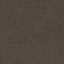 Sandstone Brown PRO Керамогранит коричневый 60х60 матовый R10GR