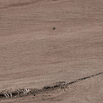 Дэвид Керамогранит коричневый 14,7х59,4 матовый