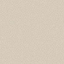 Princess Плитка настенная бежевая (C-PCS011Dn) 20х60